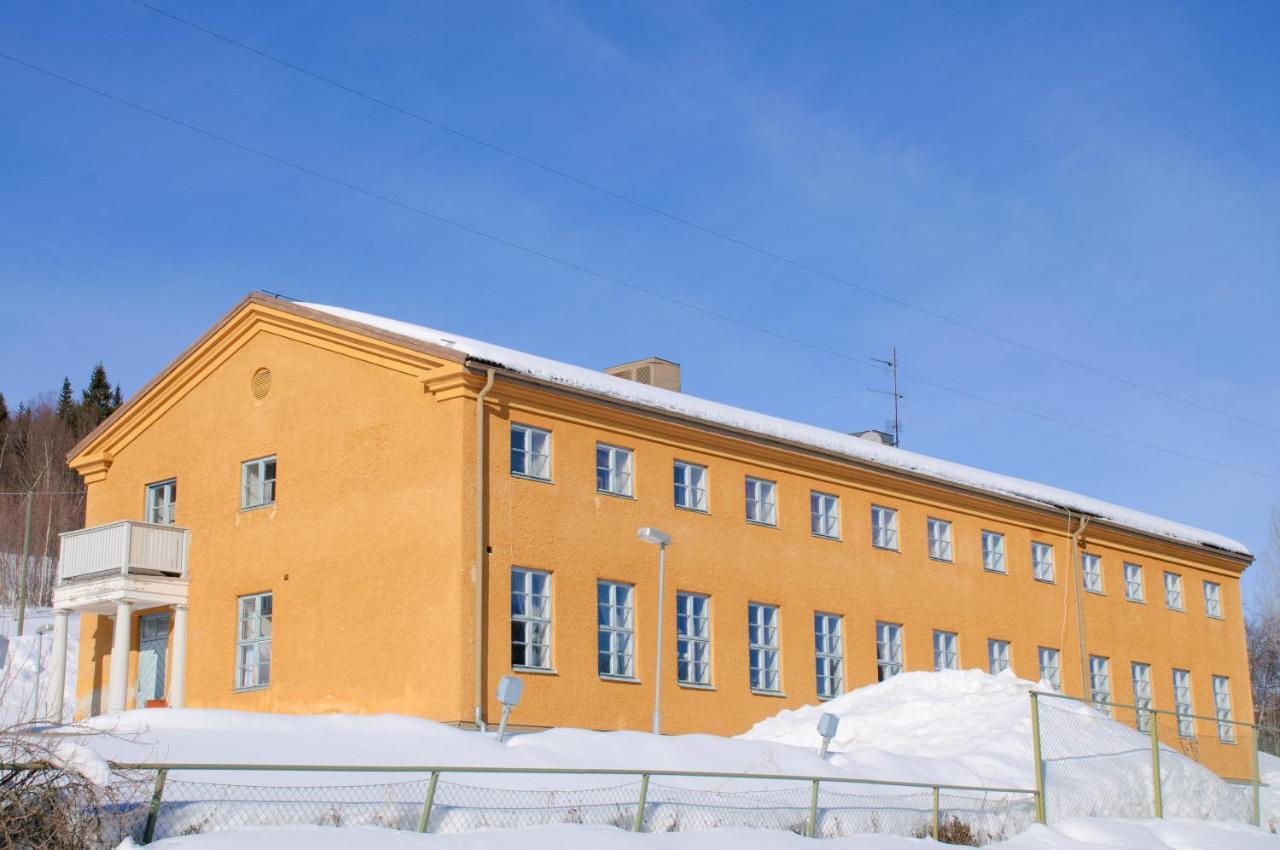 Aredalens Fjaellgard Hostel Jarpen Kültér fotó