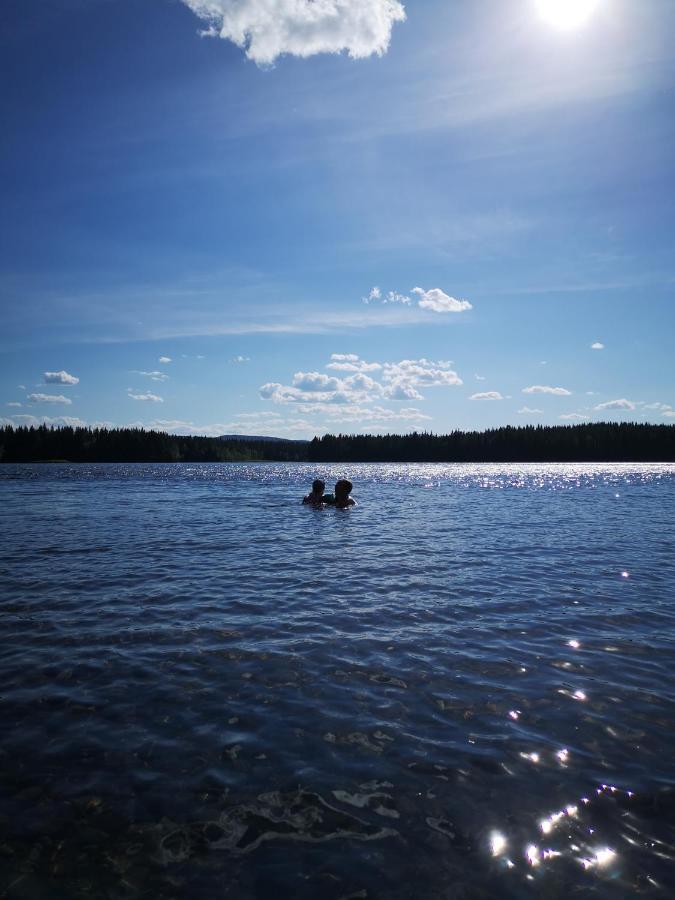 Aredalens Fjaellgard Hostel Jarpen Kültér fotó